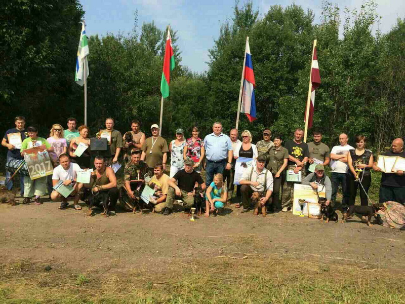 Результаты Витебского областного чемпионата норных собак