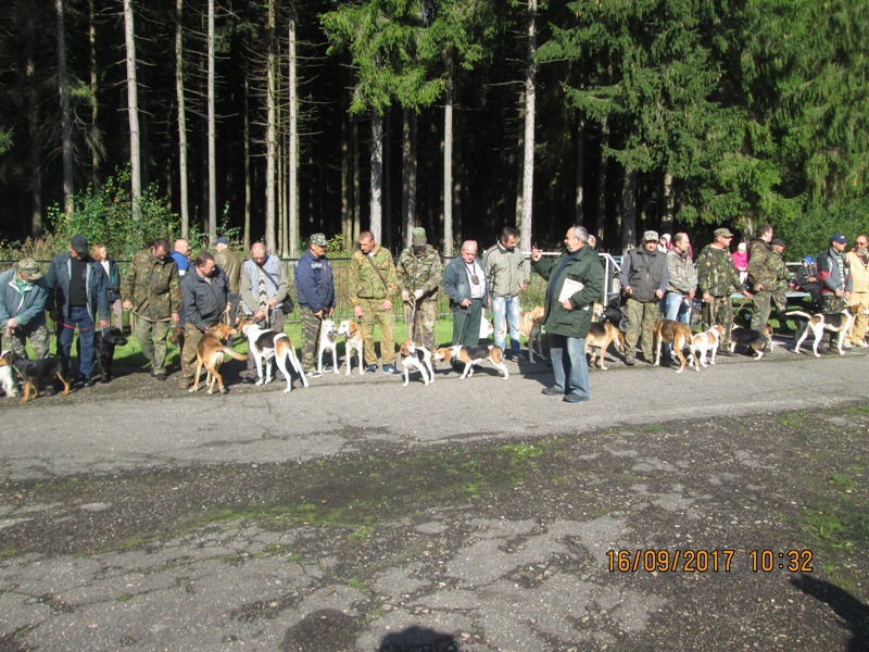 16 сентября 2017 г. в г.п. Ушачи состоялась Витебская областная открытая выставка охотничьих собак.