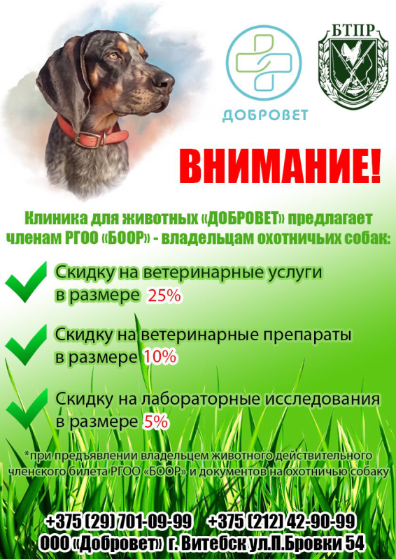 Для членов РГОО «БООР» — владельцев охотничьих собак в ветеринарной клинике «ДОБРОВЕТ» действуют скидки!
