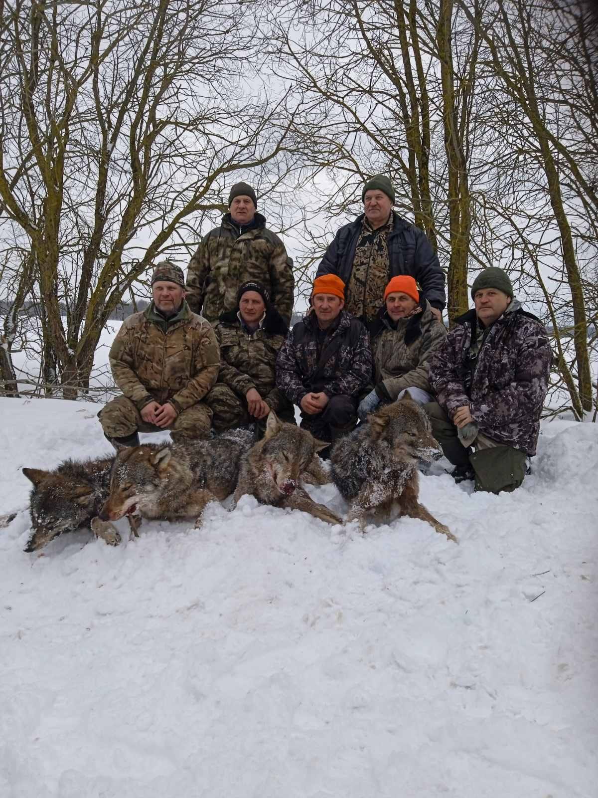 Охота на волка в Белоруссии