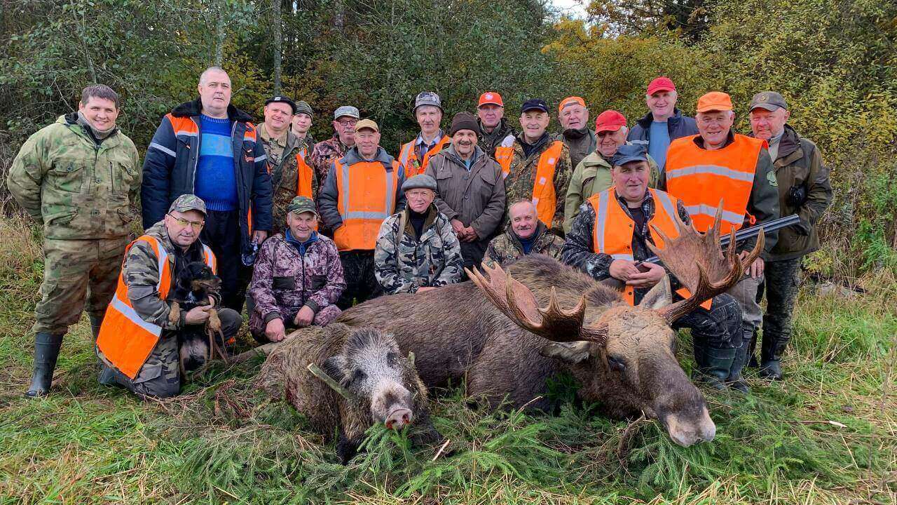 Открытие сезона охоты на копытных и пушных животных: актуальные лимиты и условия