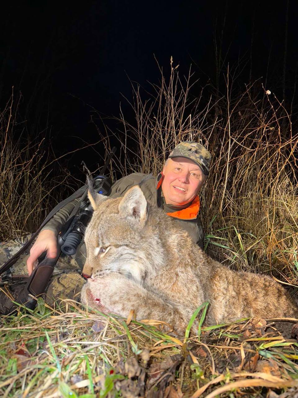 От охраны к регулированию: Почему рысь стала охотничьим видом