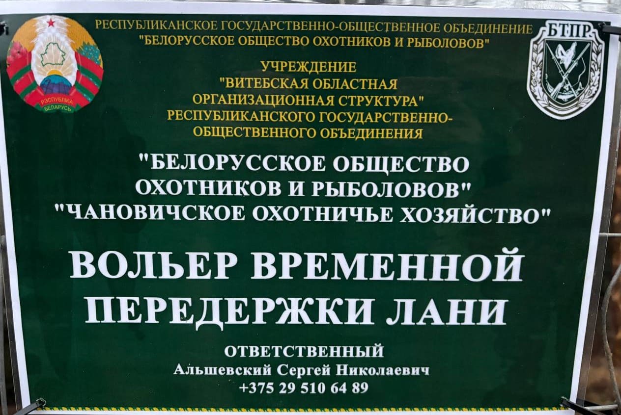 Лани и олени на Витебщине: как создаются новые популяции
